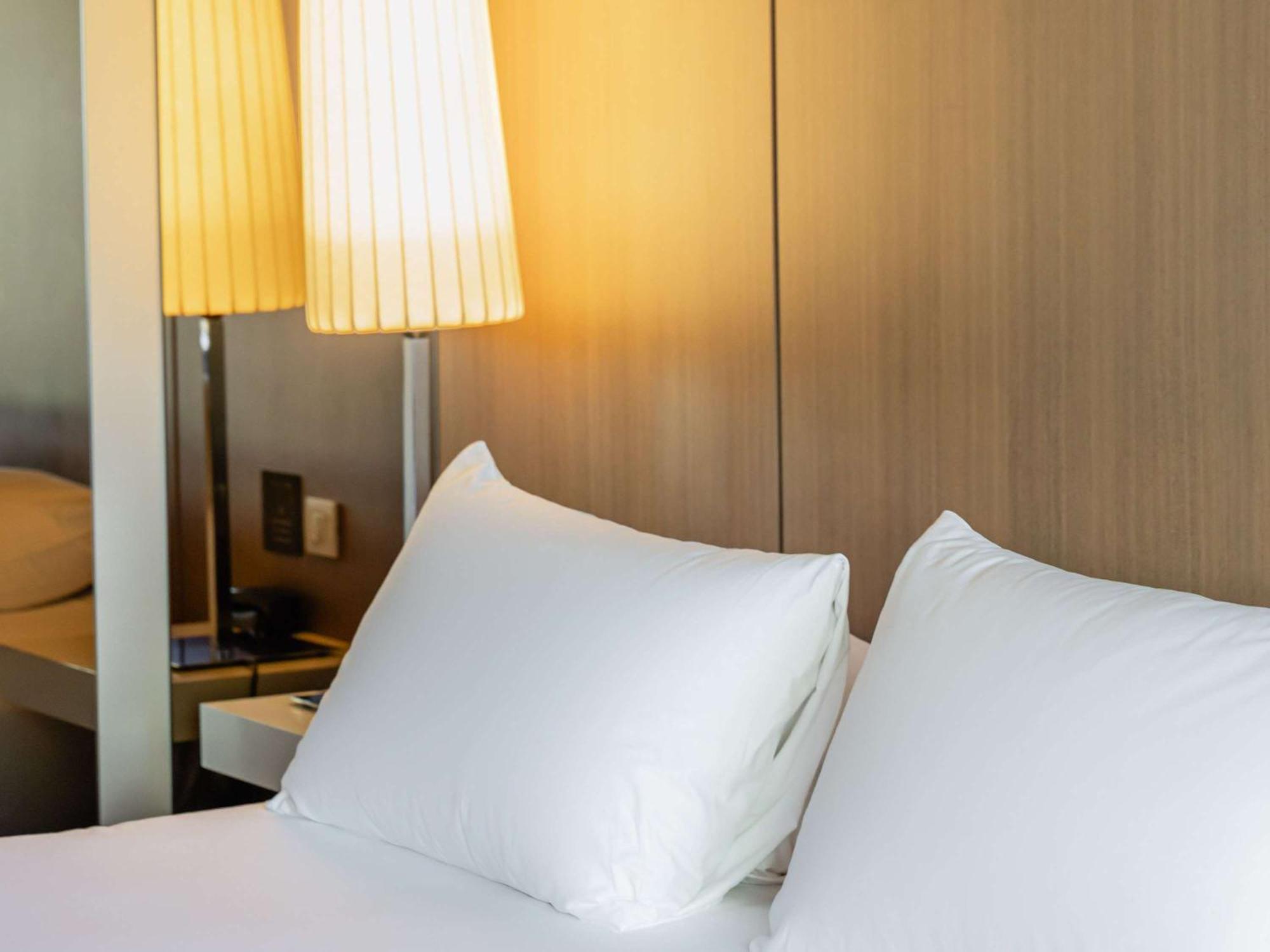 Hotel Pullman 4*